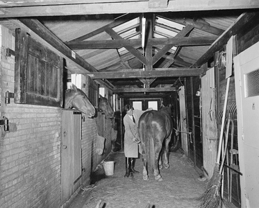 850364 Gezicht in de paardenstal van de bereden politie op het veemarktterrein (Croeselaan) te Utrecht, vlak voor de ...